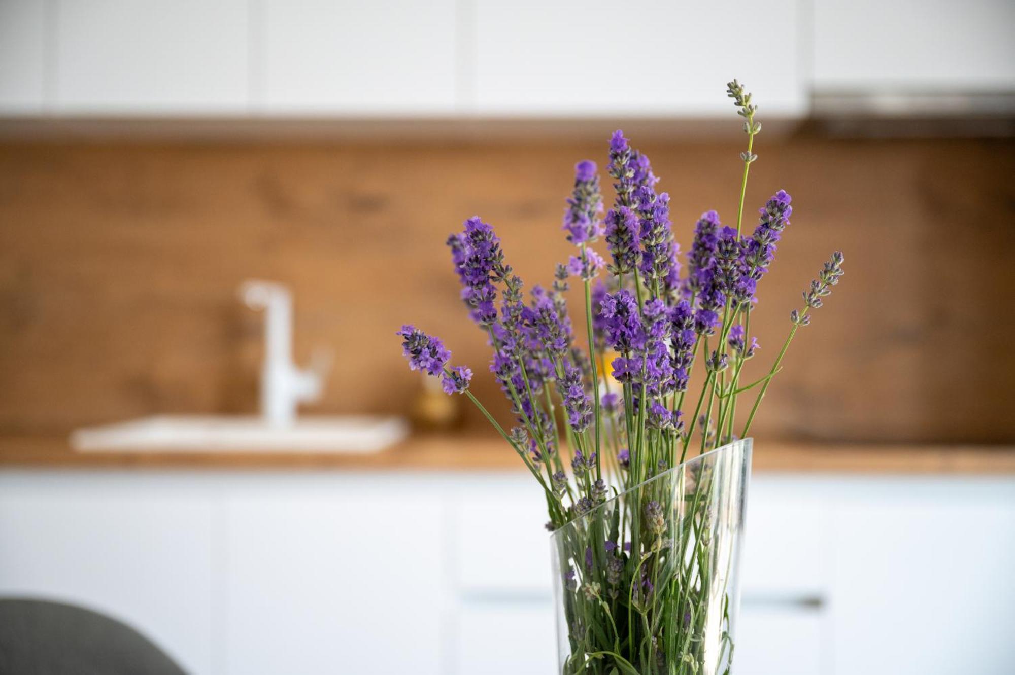 Apartman Mulin Trogir Kültér fotó